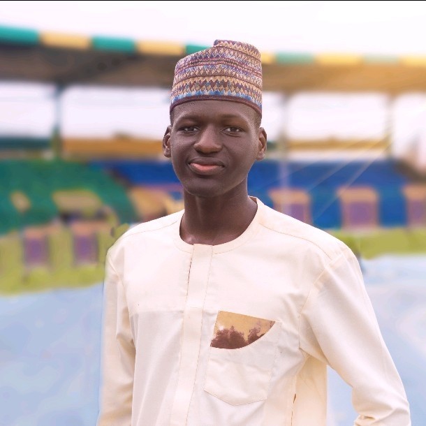 Abdulbateen Jolaosho, Tech Lead at Techlava Softwares Limited