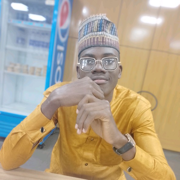 Mubarak Adebanjo, Operations Manager at Techlava Softwares Limited